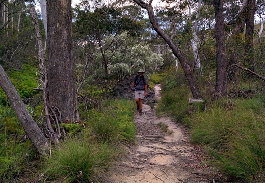 unbenannte Fotosession 20131220 1069